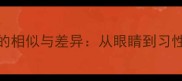 哈士奇与狼的相似与差异从眼睛到习性的科学对比
