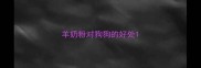 羊奶粉对狗狗的好处