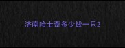 济南哈士奇多少钱一只