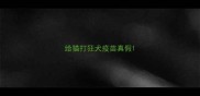 给猫打狂犬疫苗真假