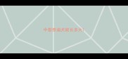 中型泰迪犬能长多大