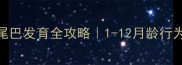 幼犬摇尾巴发育全攻略1-12月龄行为信号图解