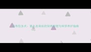 拉布拉多犬第九名背后的饲养秘密与科学养护指南