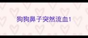 狗狗鼻子突然流血