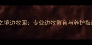龙之境边牧园专业边牧繁育与养护指南