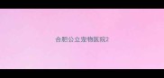 合肥公立宠物医院