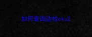 如何查询边牧cku