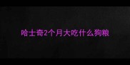 哈士奇2个月大吃什么狗粮