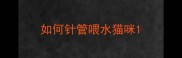 如何针管喂水猫咪