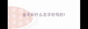 金毛叫什么名字好母的