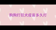 狗狗打狂犬疫苗多久打