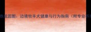边牧尾巴卷成圆圈边境牧羊犬健康与行为指南附专业养护方案