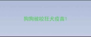 狗狗被咬狂犬疫苗