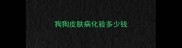 狗狗皮肤病化验多少钱
