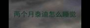 两个月泰迪怎么睡觉