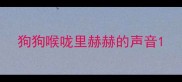 狗狗喉咙里赫赫的声音
