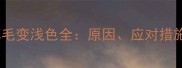 金毛犬夏季掉毛变浅色全原因应对措施与护理指南