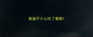 泰迪不小心吃了葡萄