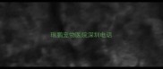 瑞鹏宠物医院深圳电话