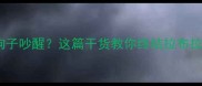 凌晨三点被狗子吵醒这篇干货教你终结拉布拉多幼犬夜啼怪