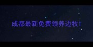 成都最新免费领养边牧
