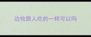 边牧跟人吃的一样可以吗