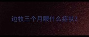 边牧三个月喂什么症状