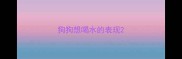 狗狗想喝水的表现