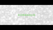 柴犬智商和哈士奇