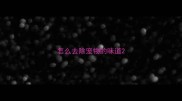 怎么去除宠物的味道