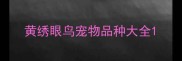 黄绣眼鸟宠物品种大全