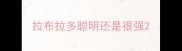 拉布拉多聪明还是很强