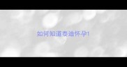 如何知道泰迪怀孕