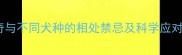 哈士奇与不同犬种的相处禁忌及科学应对指南