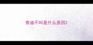 泰迪不叫是什么原因
