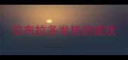 拉布拉多发热的症状