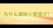为什么猫咪小便很少