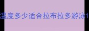 温度多少适合拉布拉多游泳