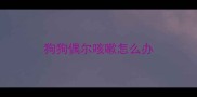 狗狗偶尔咳嗽怎么办