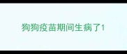狗狗疫苗期间生病了