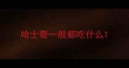 哈士奇一般都吃什么