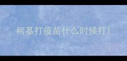 柯基打疫苗什么时候打