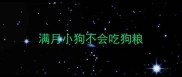 满月小狗不会吃狗粮
