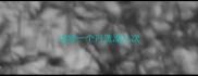 边牧一个月洗澡几次