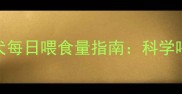 两个月大金毛幼犬每日喂食量指南科学喂养与营养需求全
