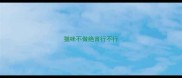 猫咪不做绝育行不行