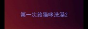 第一次给猫咪洗澡