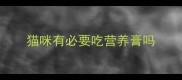 猫咪有必要吃营养膏吗