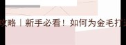 拉布拉多犬饲养全攻略新手必看如何为金毛打造理想成长环境