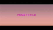 打狗狗鼻子会怎么样